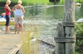 Our ponds