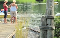 Our ponds