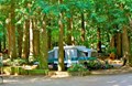 Wooded sites.