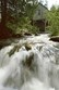 Historic Mill Creek Discovery Park Photo