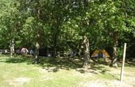 Shaded Tent Sites