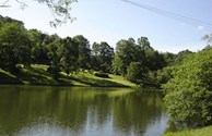 Peaceful