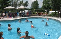 Our pool