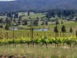 Anderson Valley Photo