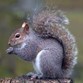 Wildlife! Photo