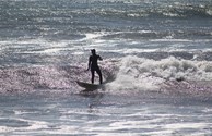 Hardy surfers