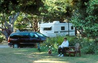 Lush Spacious Sites