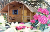 Cozy Accomodations