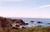 Coastal Beauty