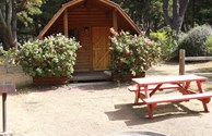Kabin in bloom