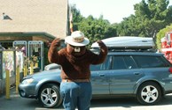 Smokey the Bear Visit