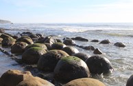 Suntrail Bowling Ball Beach