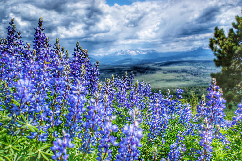The Ultimate Guide to Spring Activities in Southern Oregon