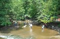 Jeddo Creek