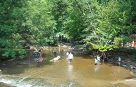 Jeddo Creek