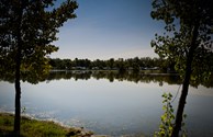 Peaceful Wildwood Lake