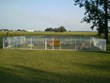 Kamp K9 Doggie Playground Photo