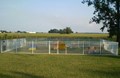 Nothin but a Hound Dog Park