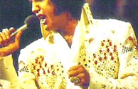 Elvis Anyone?