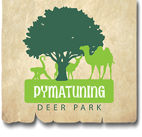 Pymatuning Deer Park - 40 Minutes