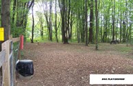 Dog Playground