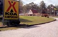 Welcome to our KOA!