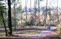Fall Season