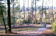 Fall Season