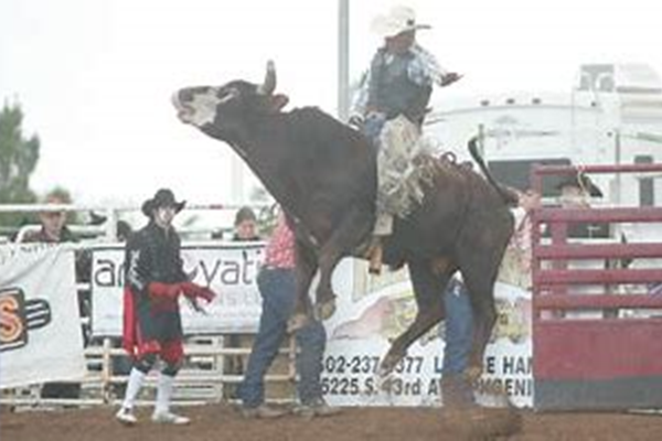 Gilbert Days Rodeo and Festival Photo