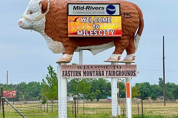 Eastern Montana Fair Photo