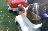 Dog on Motorcycle