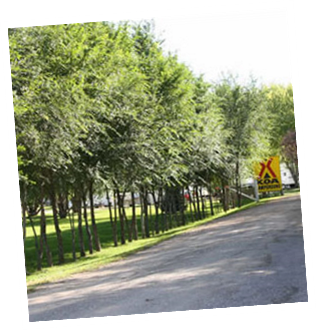 Welcome To Minneapolis SW KOA
