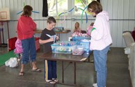 Pick a Prize from the Holiday Carnival