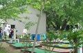Try your Hand at Mini Golf
