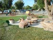 Playgrounds & Group Fire Pit Area Photo