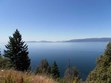 Flathead Lake -- July is Cherry Season Photo