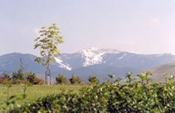 Snowbowl Ski Area from Missoula