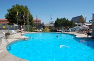 Swimming Pool and Hot Tubs