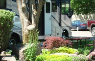 Nice Landscaped Sites