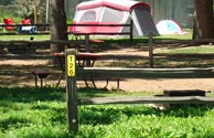 Tent Sites Under the Trees