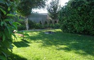 Grassy Tent Site