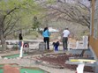 Mini Golf Photo