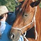 Horse Back Riding Photo