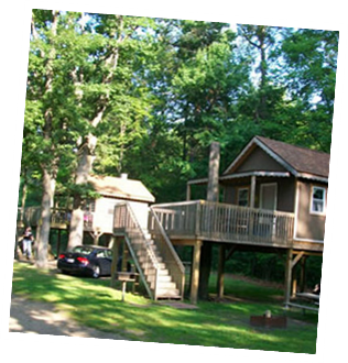 Spend the Night in a Treehouse