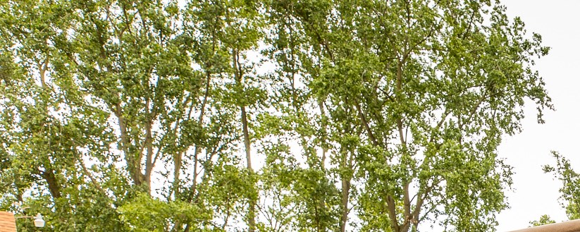 Oak Grove Resort Campground