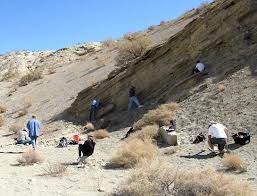 Fossil Butte National Park and Fossil Digging Near Kemmerer, WY
