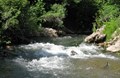 Montpelier Creek