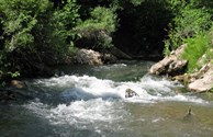 Montpelier Creek