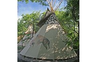 Tipis