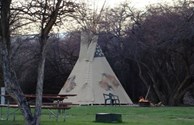 Buffalo Tipi
